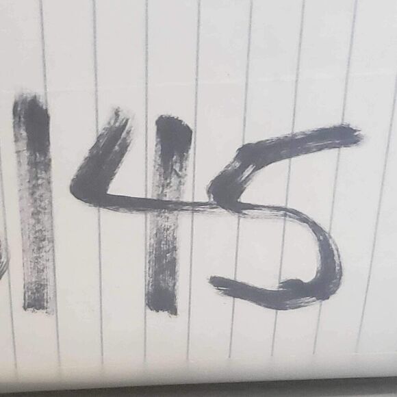 Cynthia Rowley Tunic Shirt Popover Womens 1X XL White Linen Button LS Tropical - Picture 8 of 8